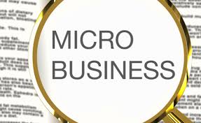 Micro Business Loans